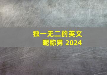 独一无二的英文昵称男 2024